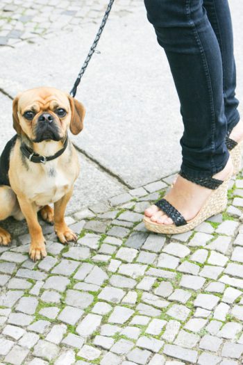 I’ve got some new shoes :)