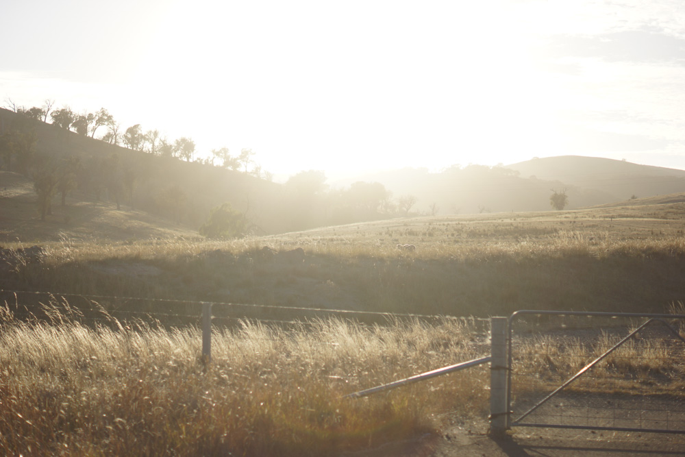 Australische Landschaft