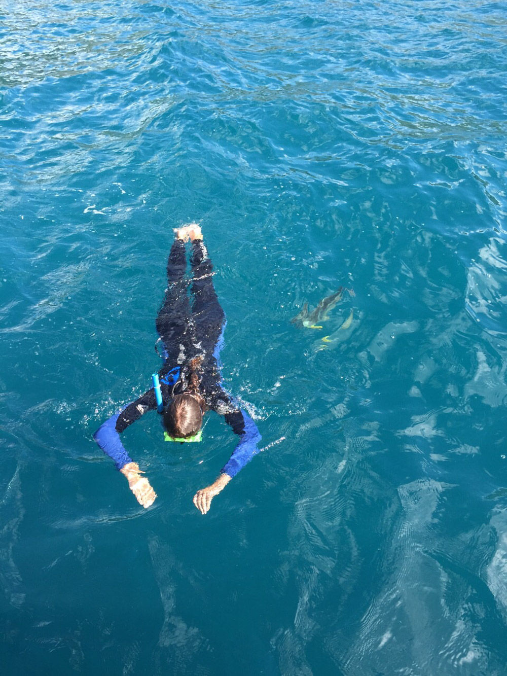 Snorkeling