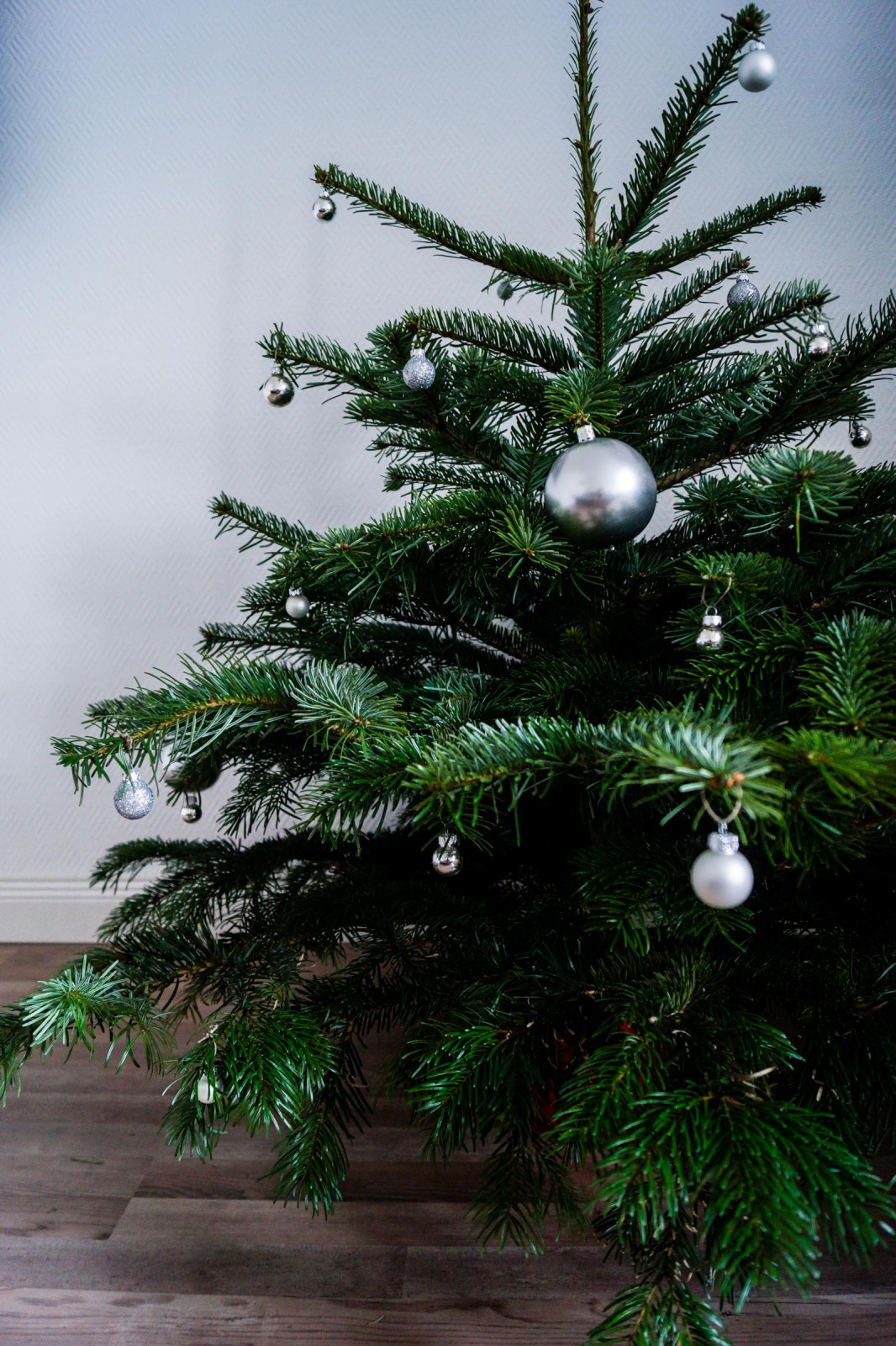 Christmas_Tree-1