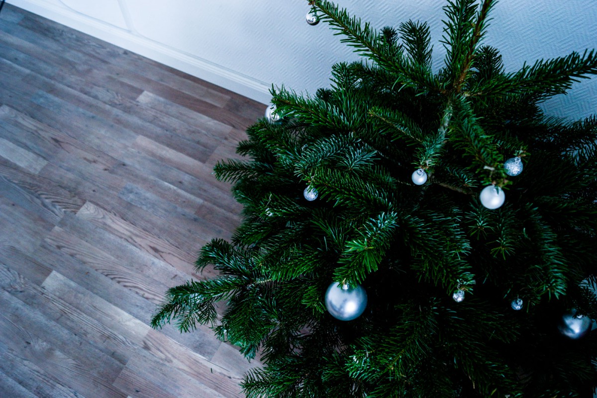 Christmas_Tree-3