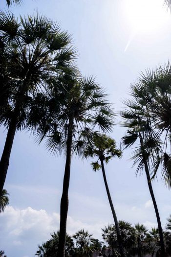 What to do in Phuket