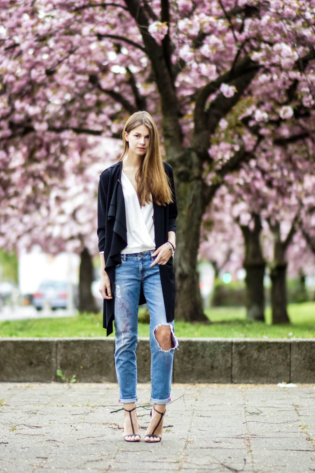 Cherry Blossoms in Berlin