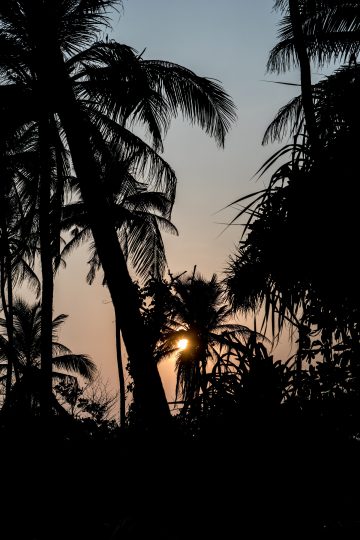 Sonnenuntergang in Sri Lanka 