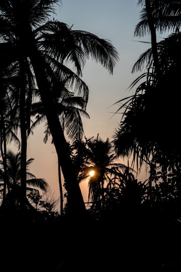 Sunset in Sri Lanka