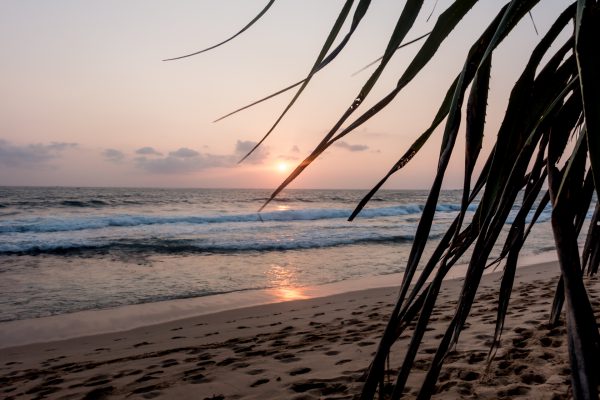 sunset on the beach