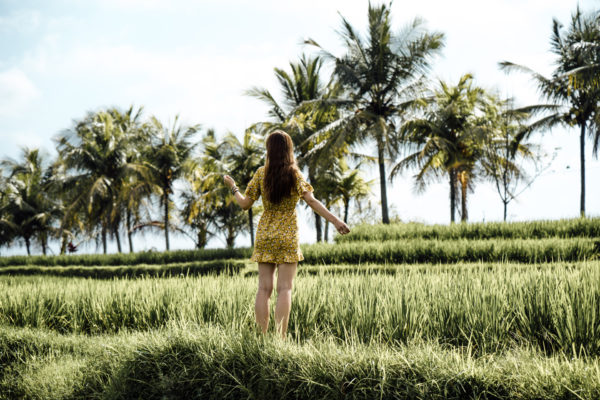 rice terraces in Ubud