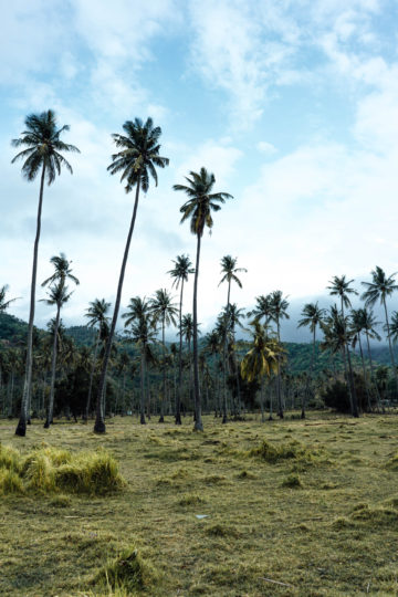 ReisefÃ¼hrer Lombok