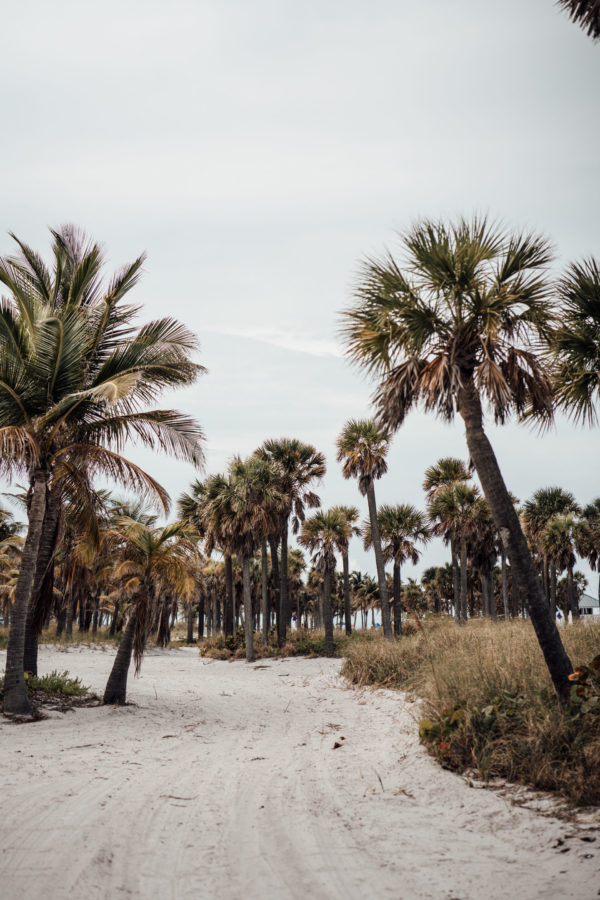 Strand voller Palmen