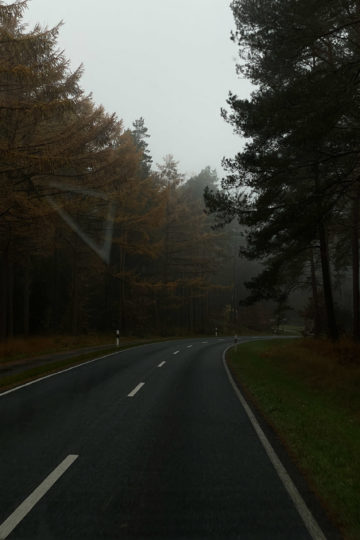 Things we particularly look forward to in autumn