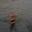 Fashion Trends 2023: Swimwear